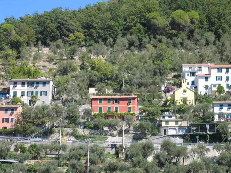 Affittacamere Cerisola 2003 Zoagli Bagian luar foto